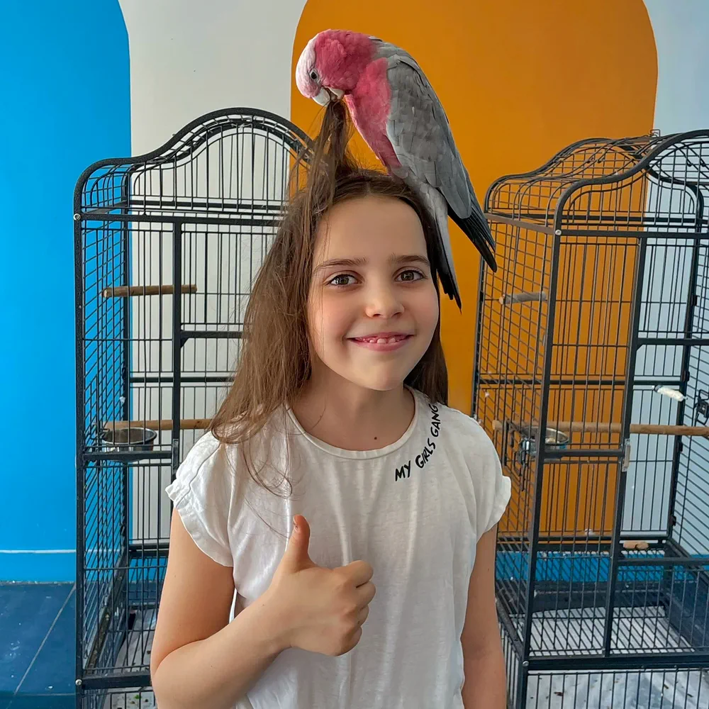 Кафе с животными. Попугаи Какаду в Москве.